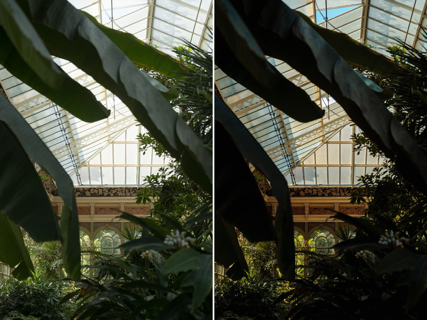 MASTER TONES — Lightroom Presets and Profiles