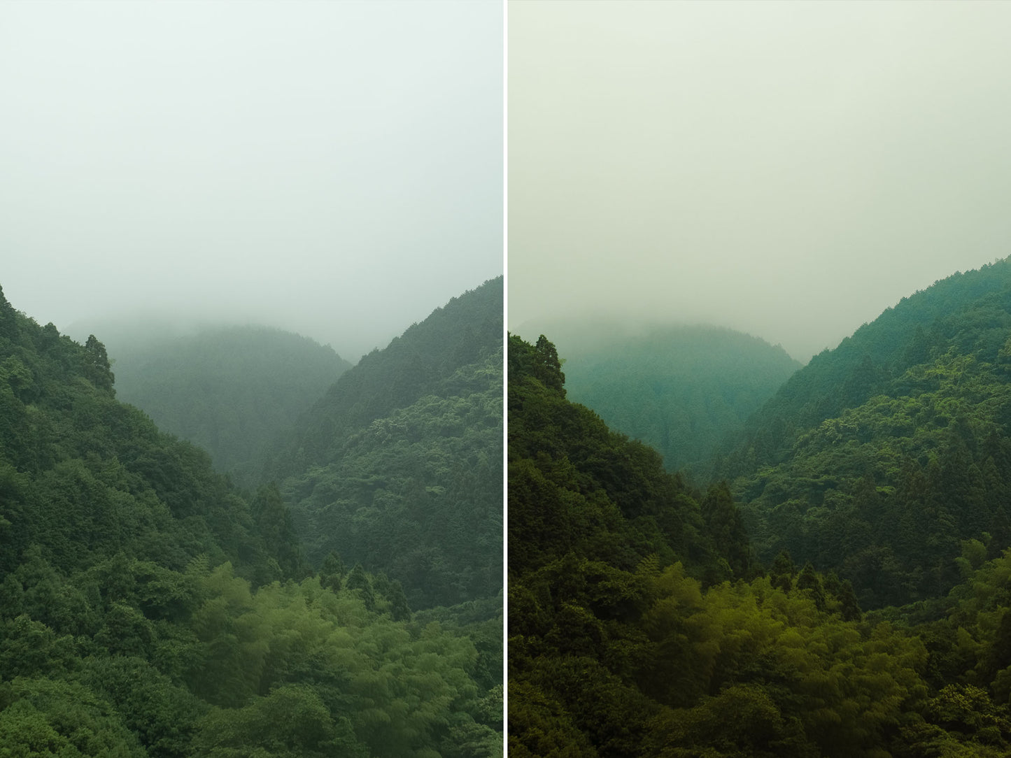 MASTER TONES — Lightroom Presets and Profiles