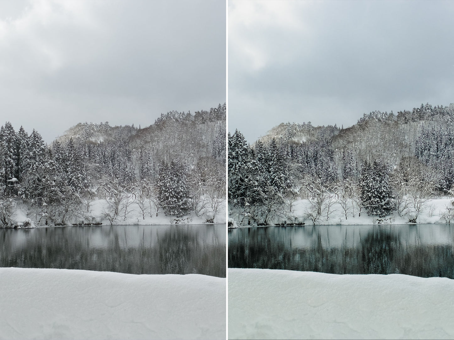 MASTER TONES — Lightroom Presets and Profiles